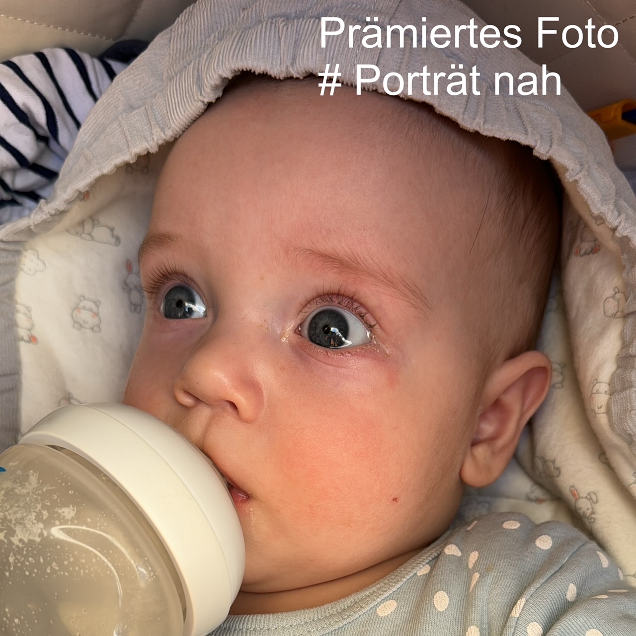 04_Praemiertes-Foto-Portraet-nah