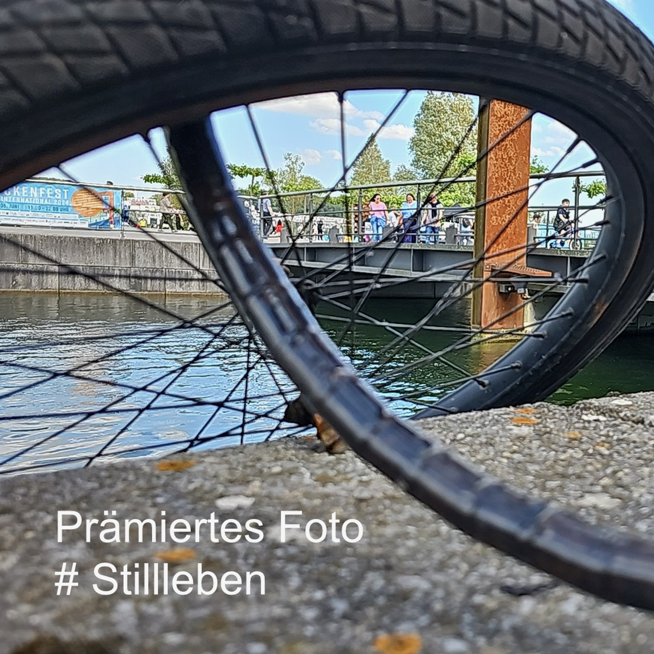 08_Praemiertes-Foto-Stillleben