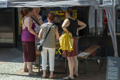 Kultursommer-Hoerde-2026-Thomas-Kurek-058-scaled